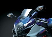 Suzuki GSX-R1000